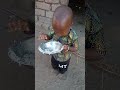 Mtoto Wa Mikaakilia 