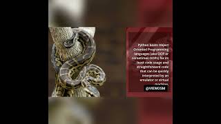 Why To Learn Python In 2022 Is Important.