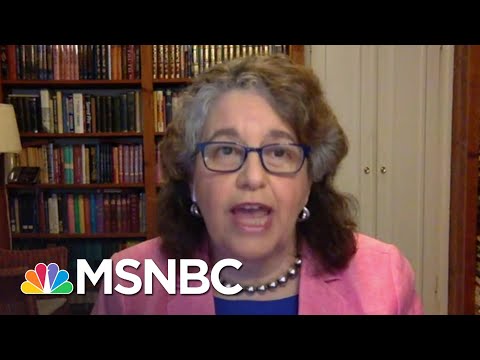 FEC Commissioner On Election Planning: ‘Our Democracy Has To Survive This Crisis’ | MSNBC