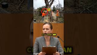 City Ordered Him To Remove A Dead Tree—Then Fined Him For It! 🪓🛑