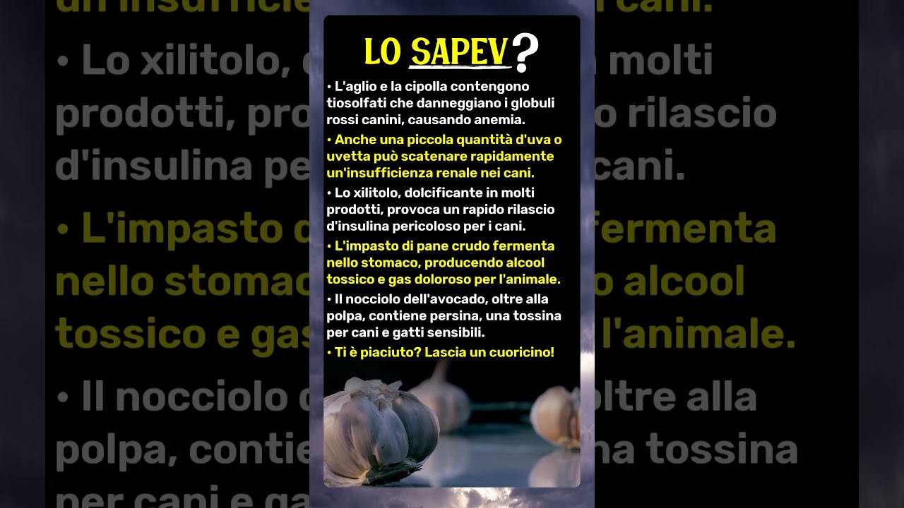 Cibi Comuni: Rischi Inaspettati per i Tuoi Amici Pelosi