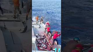 Секрет безумно быстрой ловли тунца 🎣😱