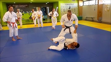 Seichin & bunkai