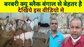 Barbari Ki Goat Farming Black Bengal Se Profitable kyu hai || बता रहें हैं Muzaffarpur के Imam Sahab