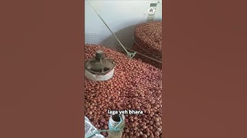 Onion Forced Ventilation