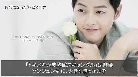 太陽の末裔 太陽の末裔