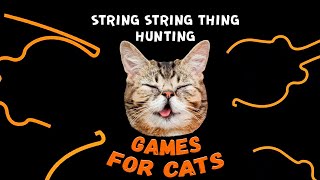 STRING STRING thing for cats | CAT GAMES  on screen 🙀