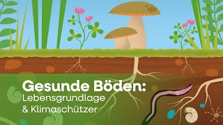 Gesunde Böden Lebensgrundlage Klimaschützer Bodenatlas 2024
