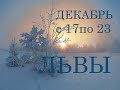 ЛЕВ. ТАРО-ПРОГНОЗ на НЕДЕЛЮ с 17 по 23 ДЕКАБРЯ.