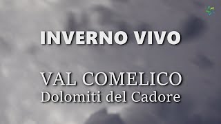 VAL COMELICO - INVERNO VIVO