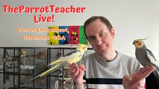 Parrot Enrichment, Hormones and Q&A | TheParrotTeacher Live ! screenshot 2