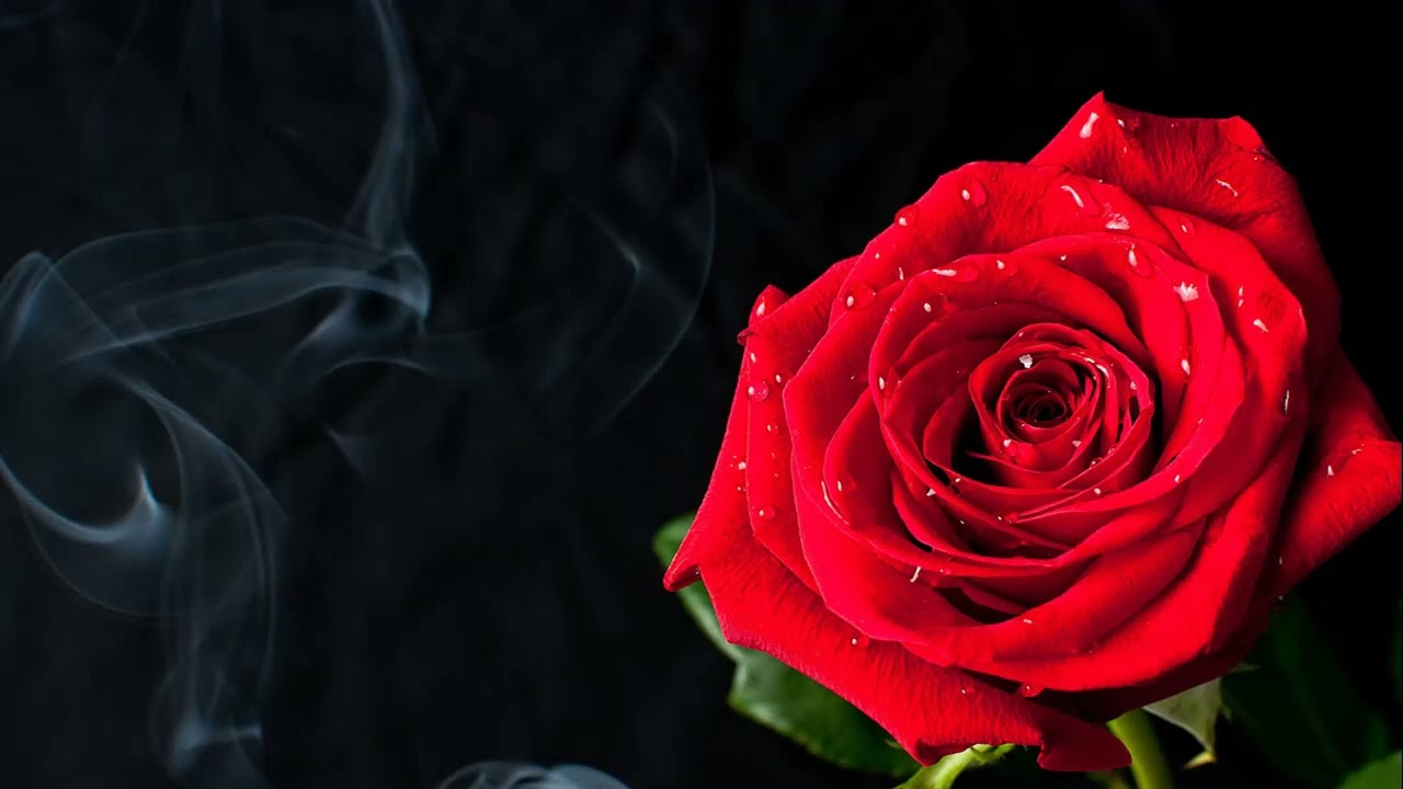 濡れた髪のLonely　池田聡