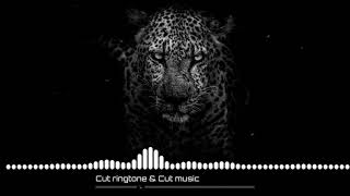 حالات شعبي كل الحكايه احمد عامر جامده      سمعها