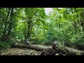 絶景を山の中で静かな２日間の登山キャンプ