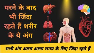 इंसान के मरने के बाद भी जीवित रहते हैं ये अंग | क्या आप जानते हैं? screenshot 3
