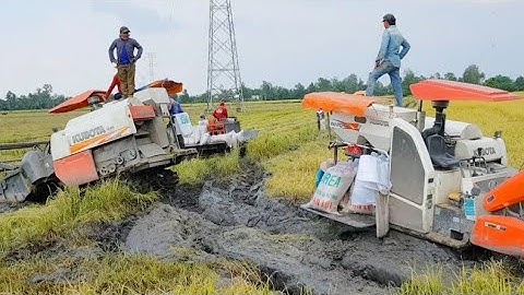 MÁY CẮT LÚA KUBOTA DC 70 GIẢI CỨU MÁY DC70 plus BỊ LẦY DẺO máy gặt đập Liên Hợp dc