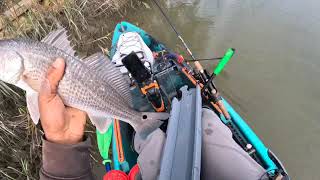 CHARLESTON SC KAYAK FISHING FOR SHEEPHEAD TROUT &amp; REDS