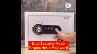 Fingerprint Locker Zymak L250FC | Locker Price In Bangladesh | Locker Price In BD | zymak.com.bd