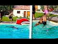 Saphir  et mowmow officiel  se battent momo finit en sang evanoui dans la piscine