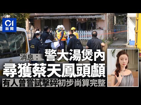 蔡天鳳案｜消息﹕警大湯煲內尋獲死者頭顱　初步尚算完整｜01新聞｜突發｜Abby｜肢解｜殘肢｜頭顱