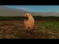 Jogando jungle Life de capivara 