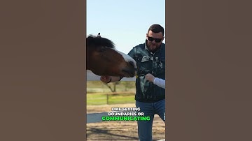 Unlock the Power of Equine Therapy  Enhance Communication and Boundaries with Horses4Heroes