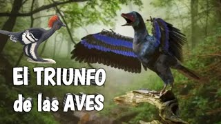 🪶¿Cuándo y cómo surgieron las AVES? 🦤