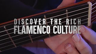 Different Styles and Moods of Flamenco Music – Flamenco Palos, A Mini-Lecture – Flamenco with Rafael