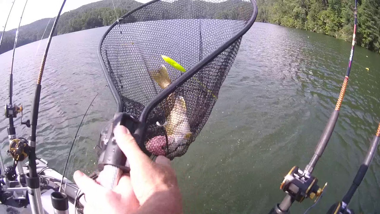 Way to Go Carson ... another HOW2fish Mountain Walleye