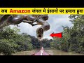 जब Amazon जंगल में इंसानो पर शिकारी जानवरो द्वारा हमले कर दिये गये Snake Attack In Amazon Rainforest