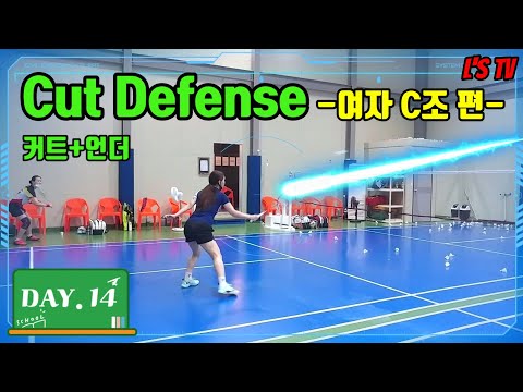 [배드민턴 레슨일기]<strong>DAY</strong>.14:커트수비 여자C조(Badminton Lesson <strong>Diary</strong>)(Eng Sub)(엘스TV)