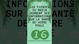 Les fientes de votre poule ont des choses à vous dire ? 