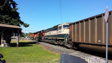 BNSF Empty Coal on the Sumas Sub Executive SD70MAC in Consist