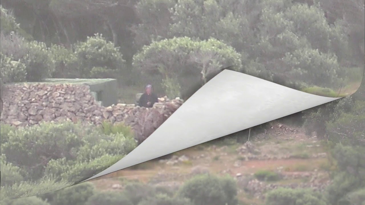 FKNK official caught on camera shooting at protected Turtle Dove