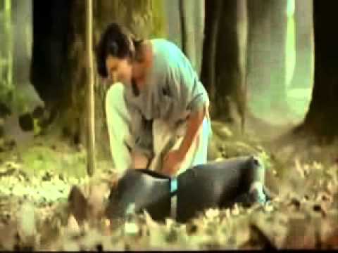 بحبك انا على فاروق  