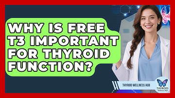 Why Is Free T3 Important For Thyroid Function? - Thyroid Wellness Hub