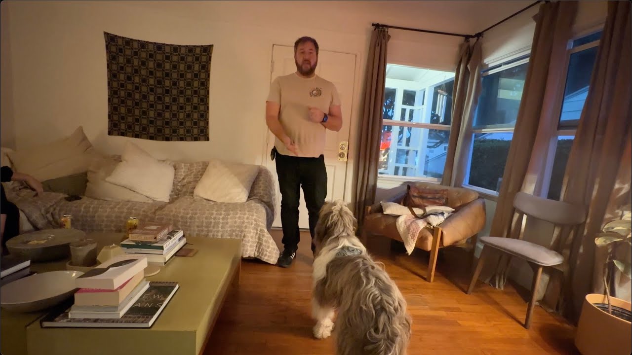 Dog Training Tip - How to Stop Dog Barking at the Door