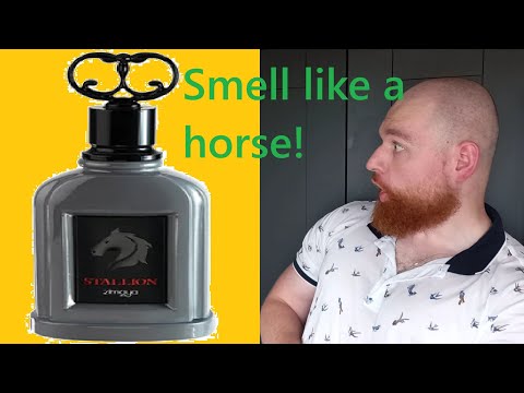 Zimaya Stallion review my first Zimaya! - NR 510 - YouTube
