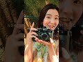 【Nikon Zf】おすすめのMFレンズ【Nokton 35mm f/1.4 SC】
