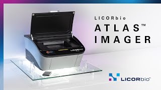 Licorbio Atlas Imager Accelerate Cell Imaging