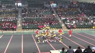 Deerfield Packer Rattlers 9U Cheer Competition
