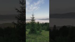 Сколівські бескиди, гора Тетерівка #mountains #карпати #carpathians #trekking  #s̵̡͓͔͛̚͝ẃ̴͍̪̞̚͝