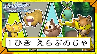 #53【202番道路で】クロガネジムに行く前に１匹色違いを捕まえたい／【RPG】カラシの「ポケットモンスター ブリリアントダイヤモンド」