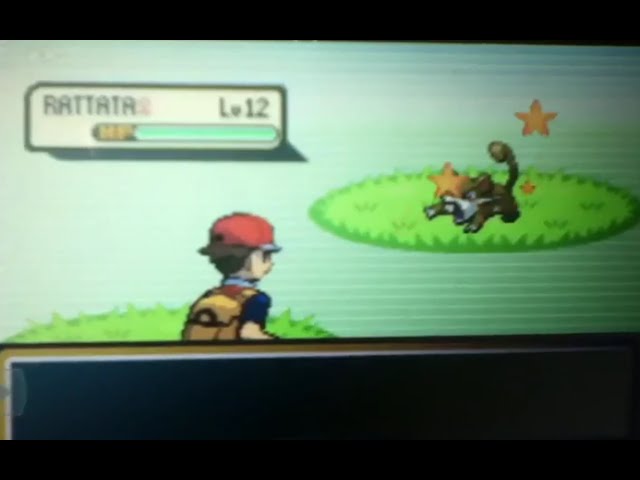 My shiny Rattata from Pokemon FireRed by Advanceshipper2021 on