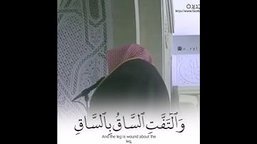 كَلَّآ إِذَا بَلَغَتِ ٱلتَّرَاقِيَ | تلاوة مؤثرة وباكية  من سورة القيامة للقارئ ياسر الدوسري