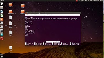 Linux Basics /Linux Cat/head/tail/sort/pwd komutları