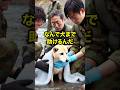 "なんで犬まで助けるんだ"批判された自衛隊の救助　#自衛隊 #海外の反応