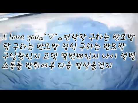 일주일 동안 안오면 반박/차별없이 다 받는 반모방 / 연락망 구하는 반모방