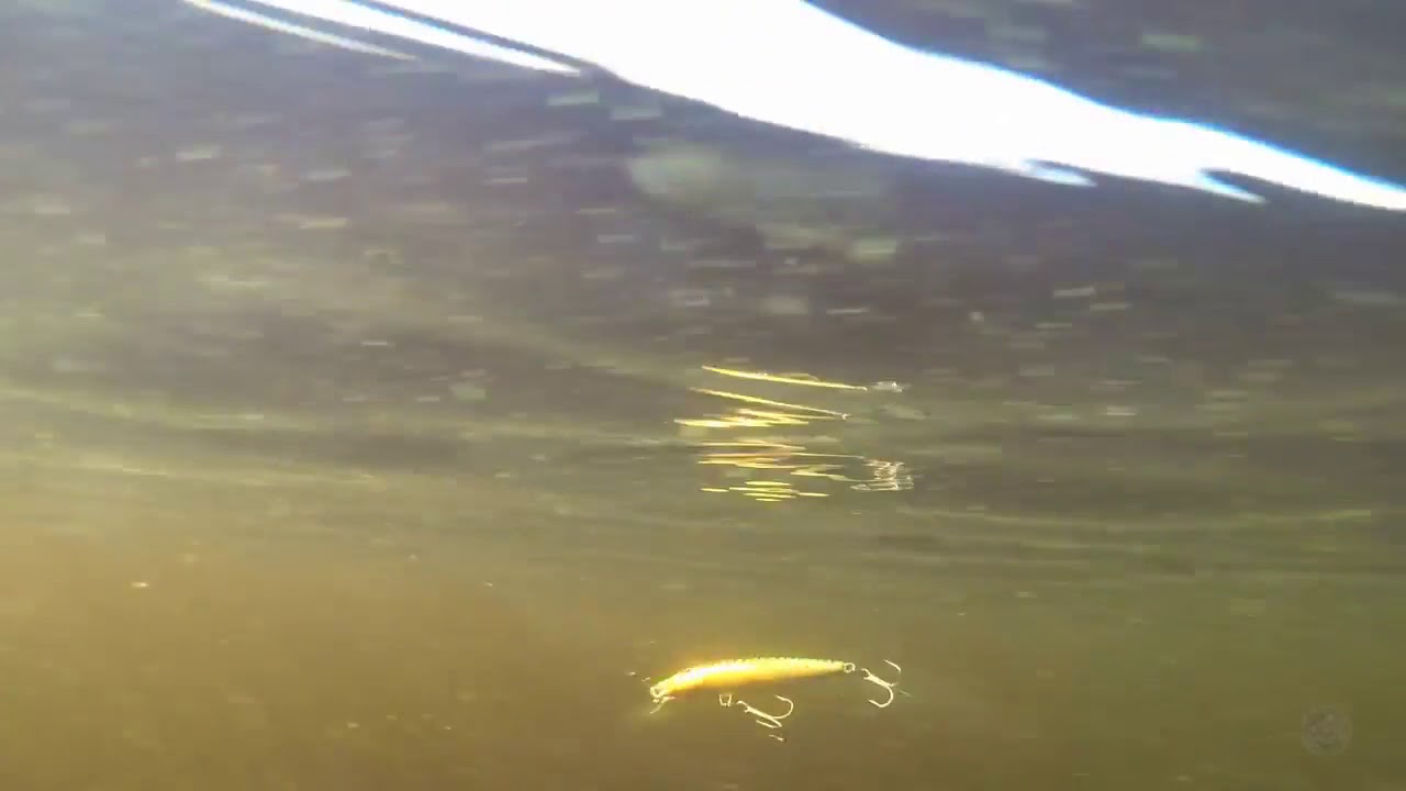 Воблер Rapala Floating Magnum