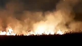 Fires at Centenario country estate - Pidima - 02Jan-2020